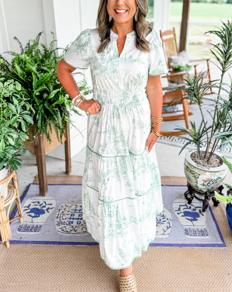 Camille Toile Print Maxi Dress