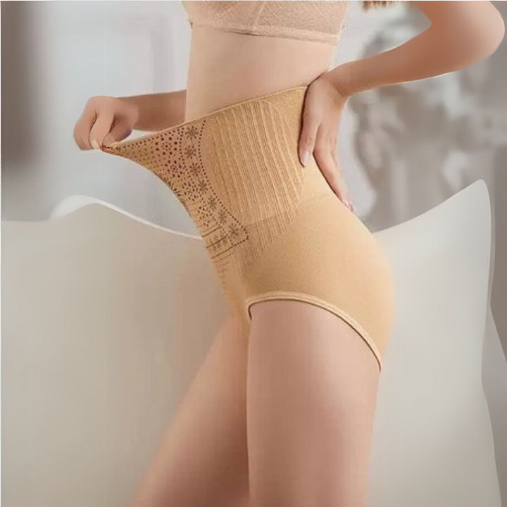 SleekForm High Waist Shaping Briefs