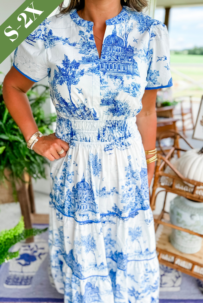 Camille Toile Print Maxi Dress