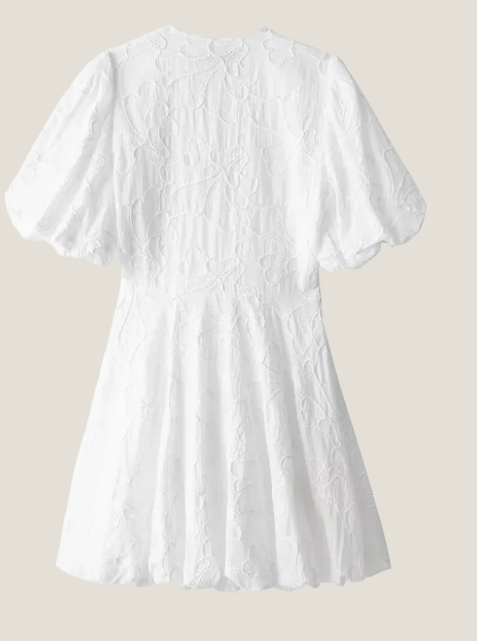 Fiora Embroidered Puff Sleeve Mini Dress